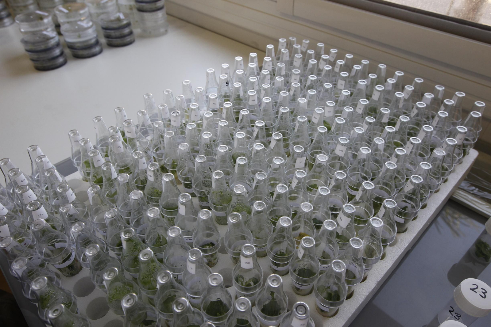 Fotogalería presentación resultados Bayer