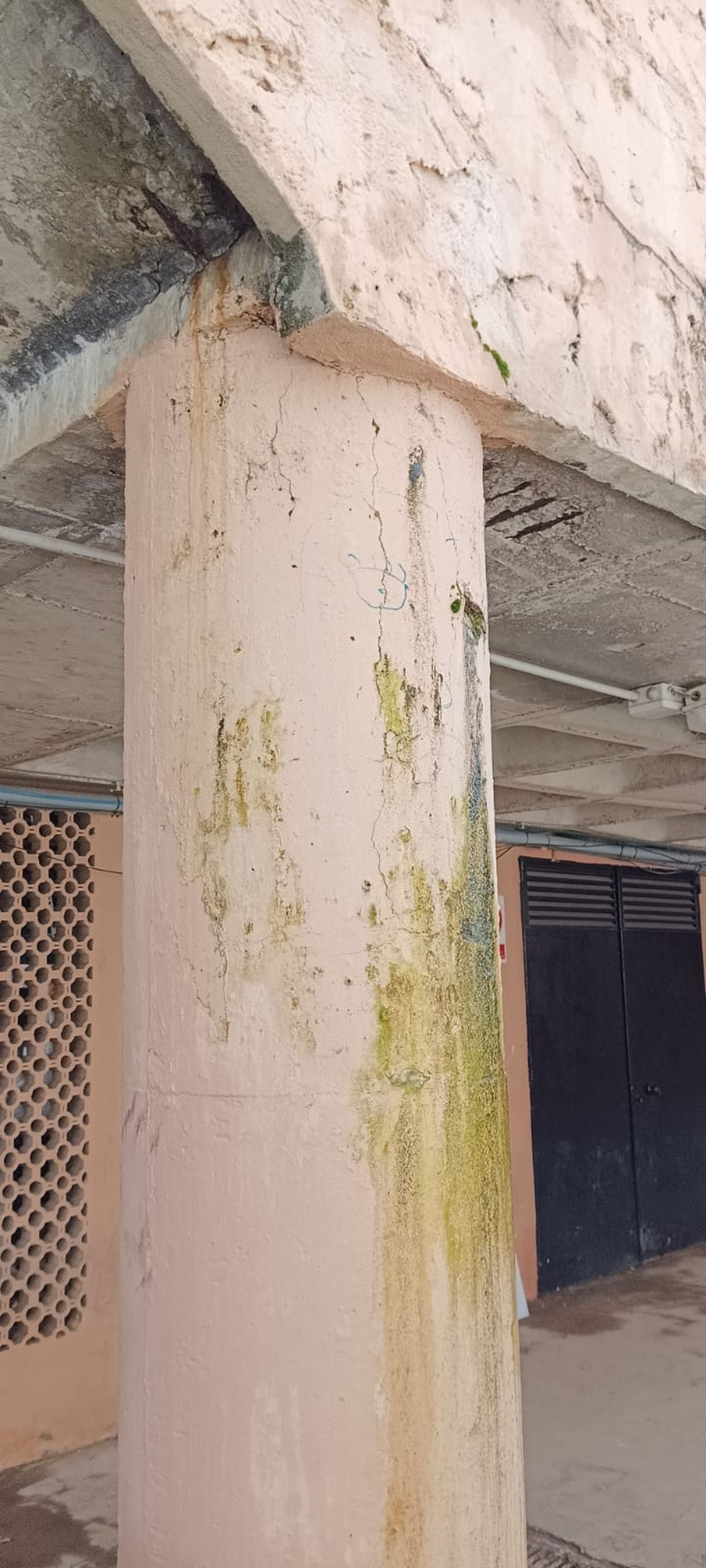 Humedades y verdín en el exterior de la ciudad deportiva.