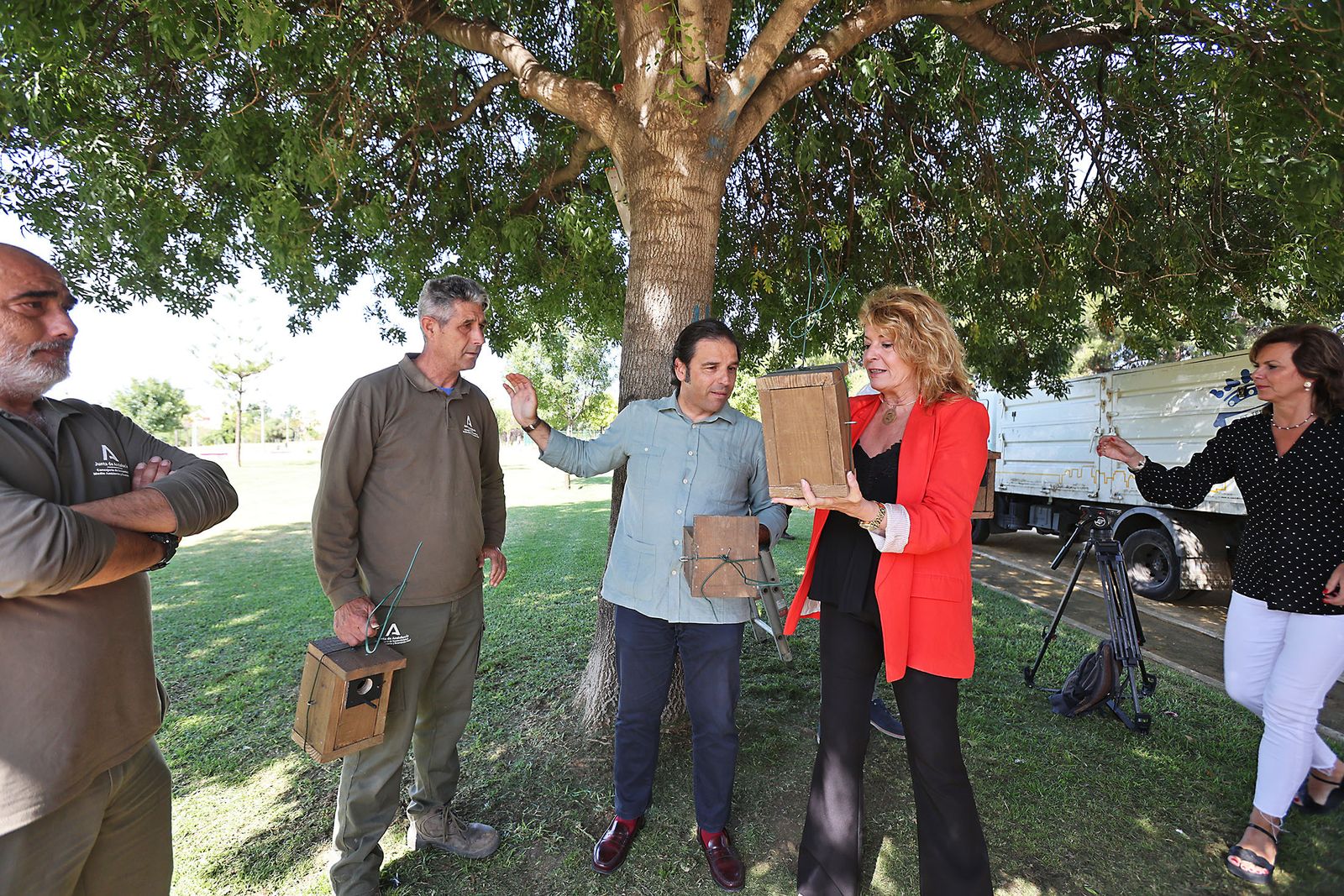 Imágenes de la colocación de cajas nidos  en árboles del parque Antonio Machado