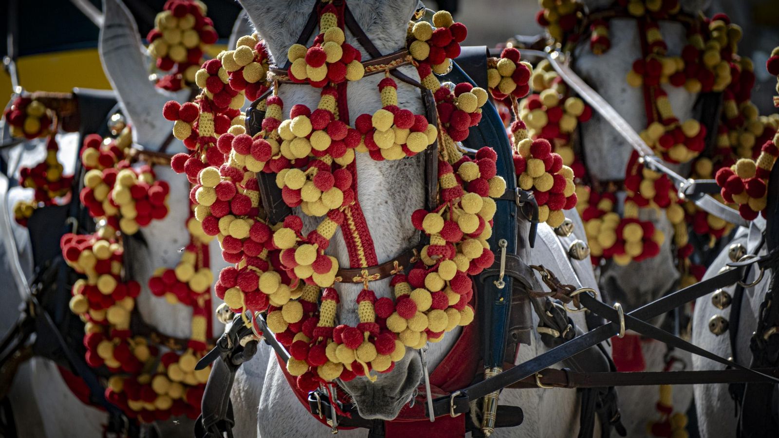 Las imágenes del sábado de feria de El Puerto 2025