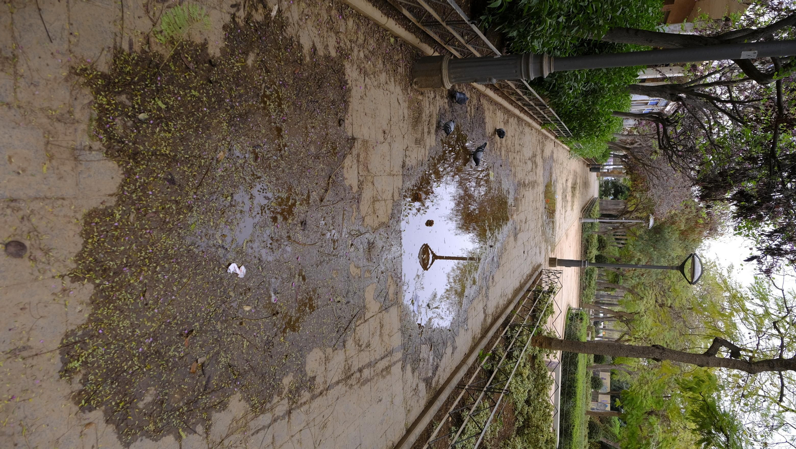 Fotogalería lluvia de barro en Almería