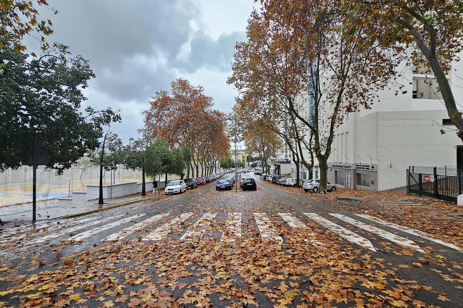 Las fotos de los efectos de la borrasca Emilia en el Campo de Gibraltar