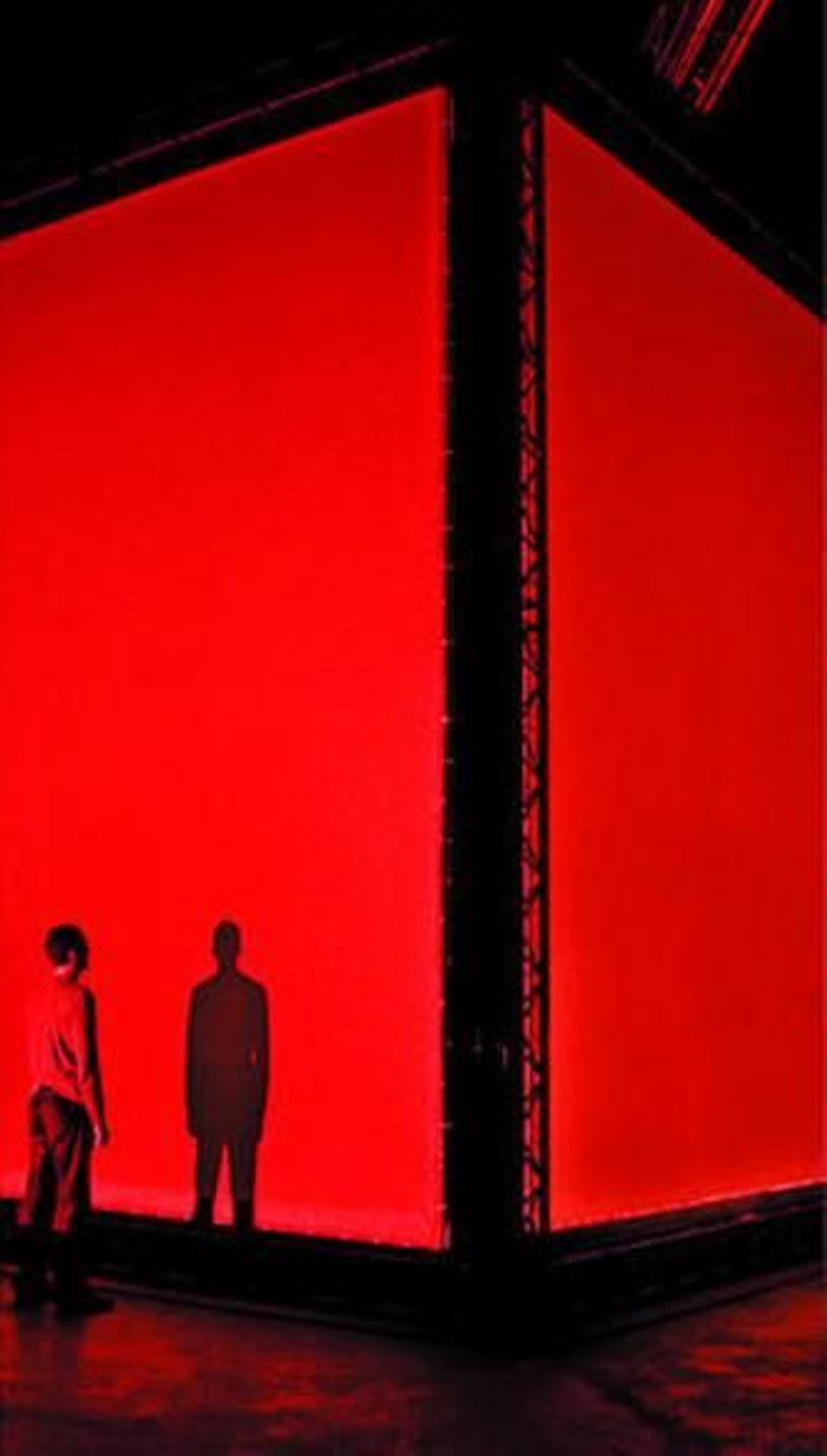 "Telecinco no nos ha pedido otro 'Tomate"