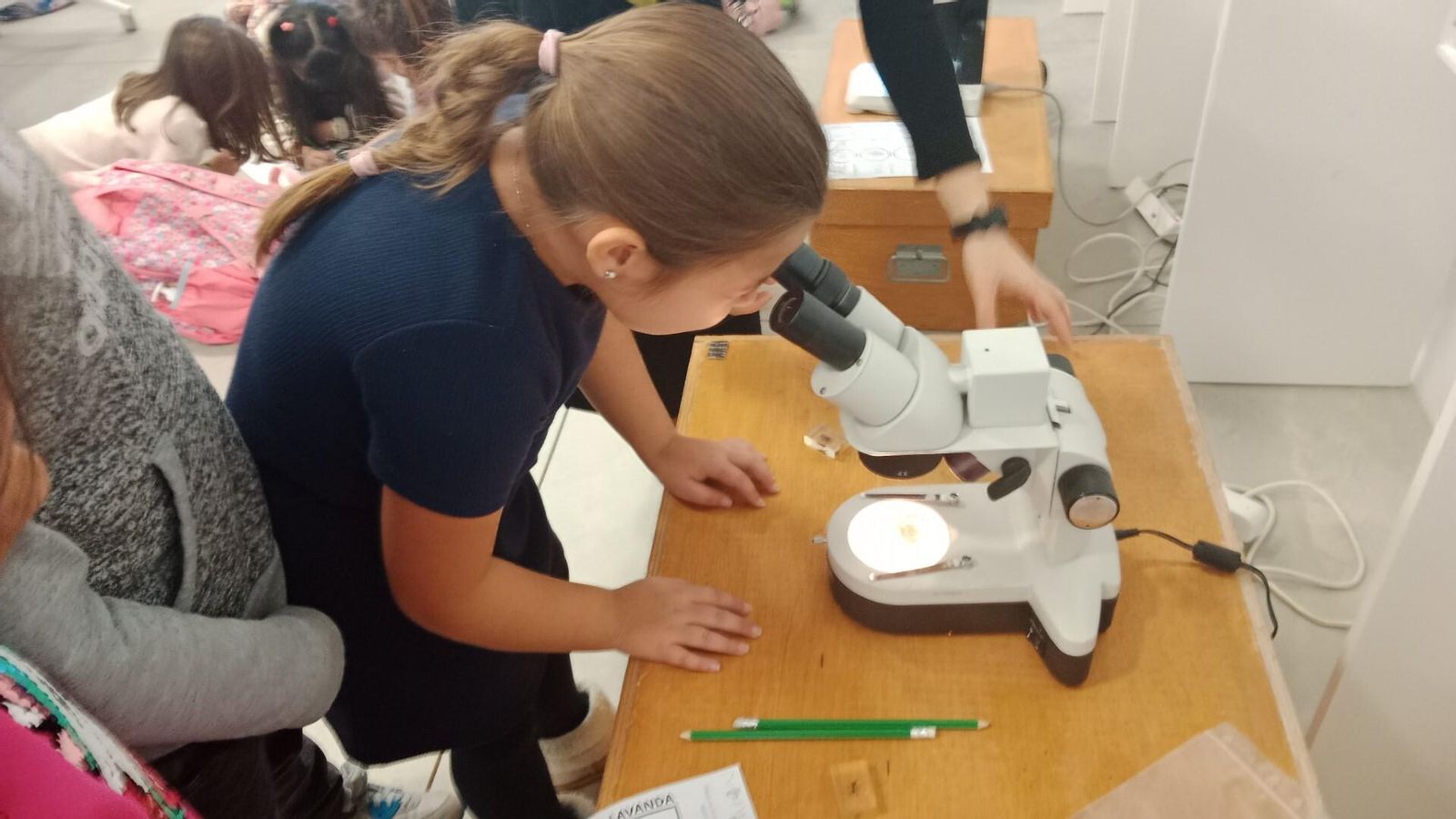 Alumnados del CEIP Federico García Lorca durante un taller denominado Micromundo