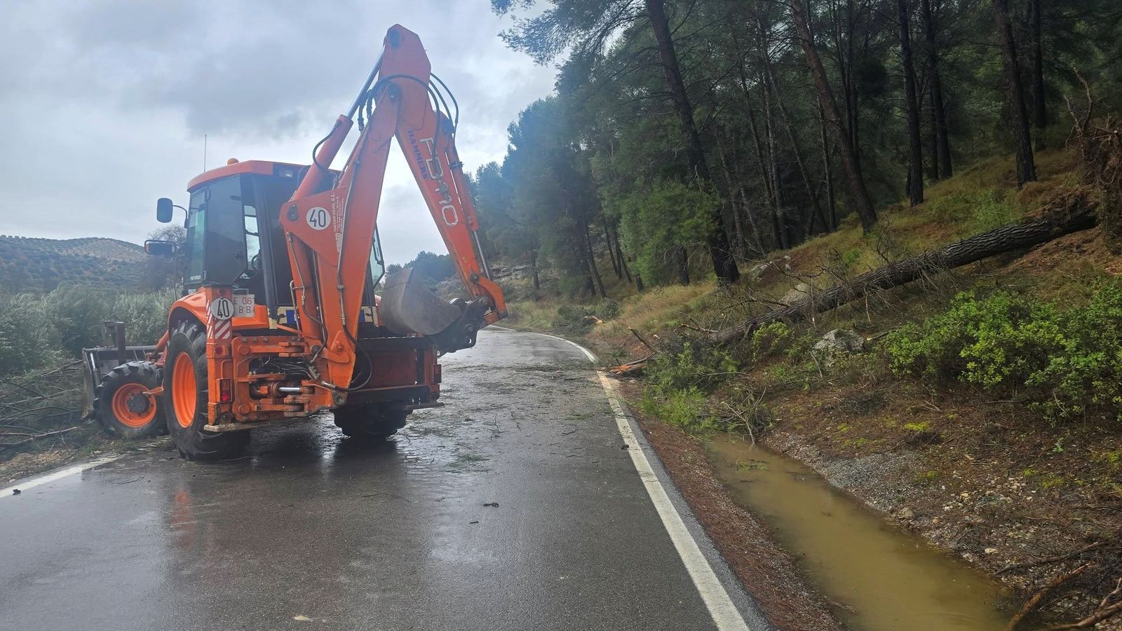 Viento, agua y destrozos: las imágenes de los efectos de la borrasca en la provincia de Granada