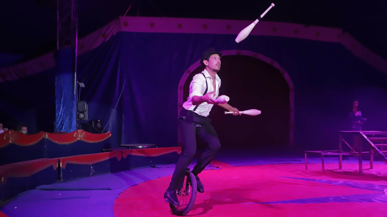 Imágenes de la gala solidaria para el circo Berlín.