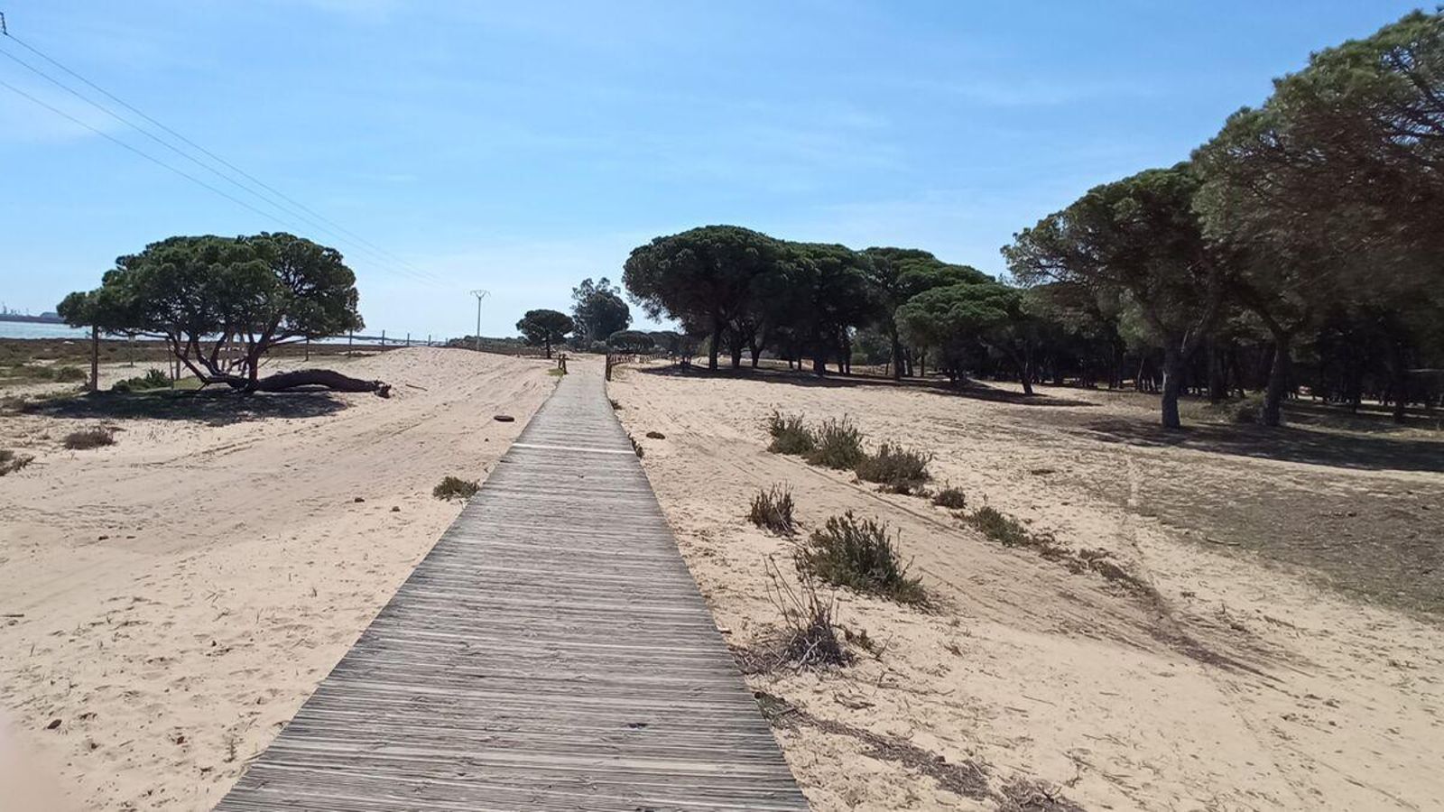 Pasarela de madera entre arena de playa