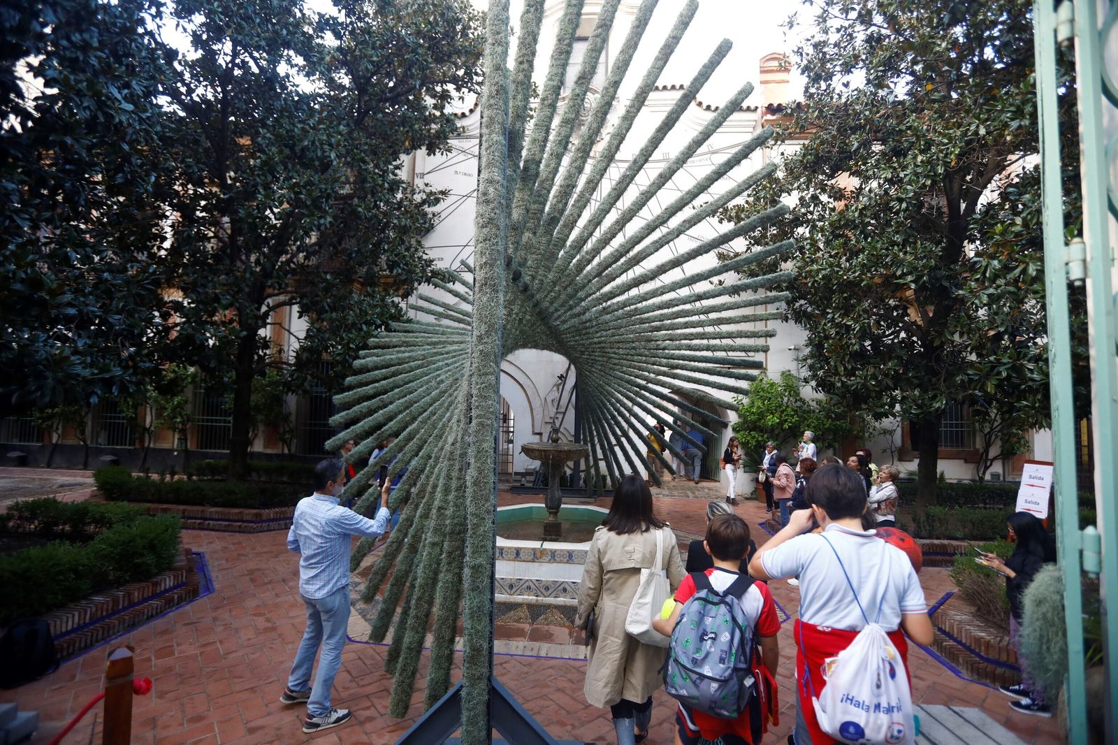 Arranca Flora 2023: estas son las mejores imágenes