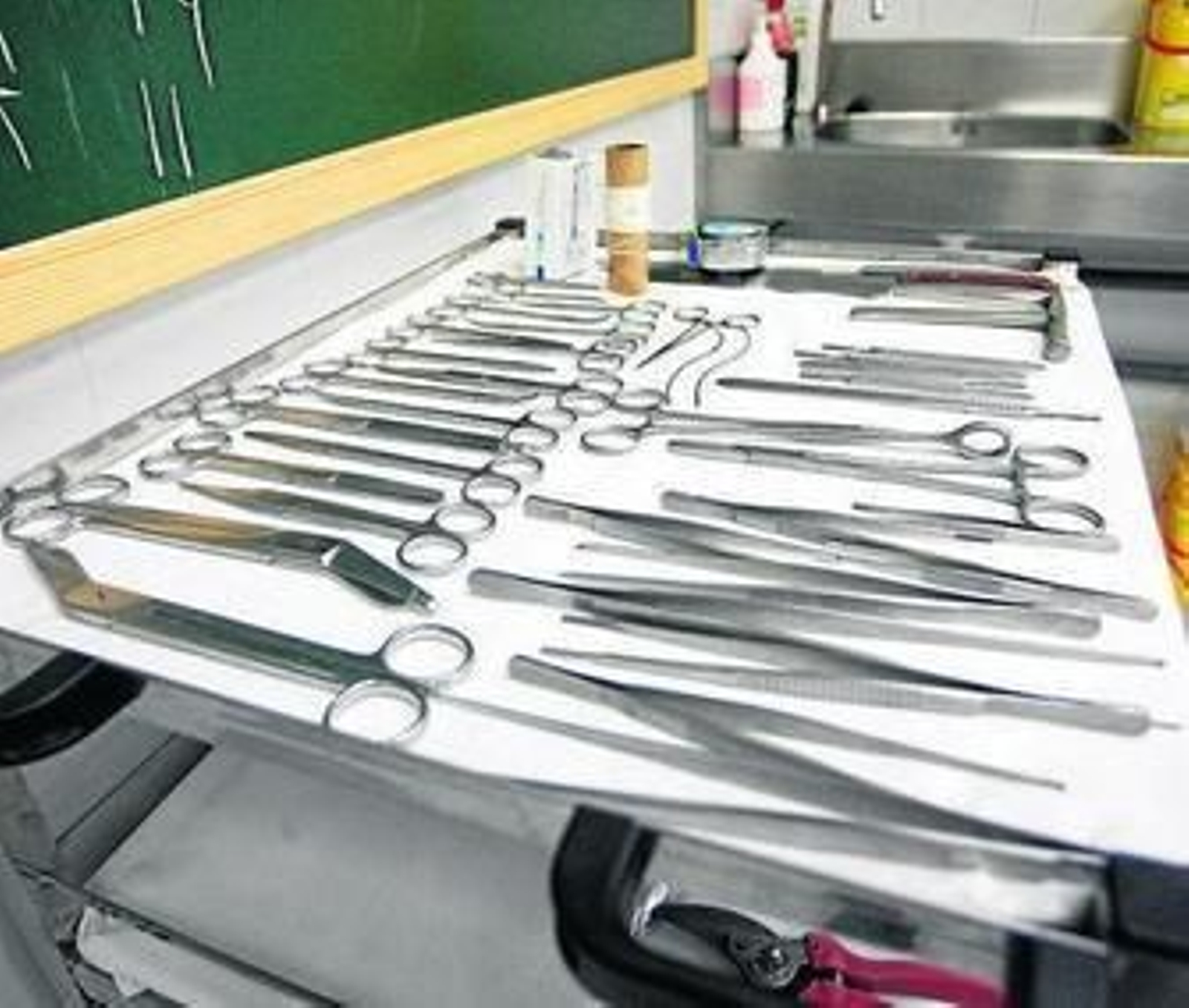 1. Uno de los facultativos del Servicio de Clínica Médico-Forense, trabajando en uno de los despachos de la Avenida de Alemania.  2. Instrumental utilizado en las autopsias. 3. La directora del IML, Carmen Álvarez.