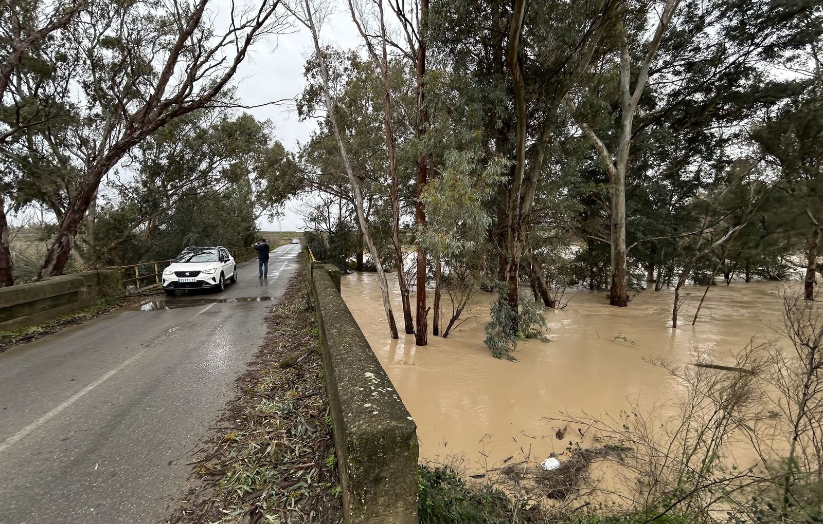 Lora del Río, ante la crecida del Guadalquivir: así lo contiene el muro de defensa