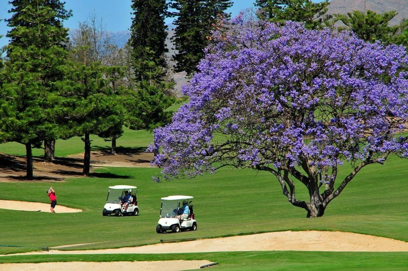 Campo de golf en la Costa del Sol.