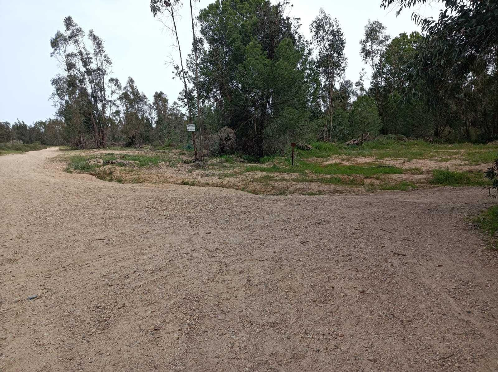 Segundo giro a la derecha.