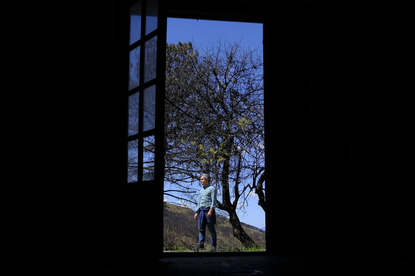 Así se recupera Sierra Bermeja tras el incendio (fotos)
