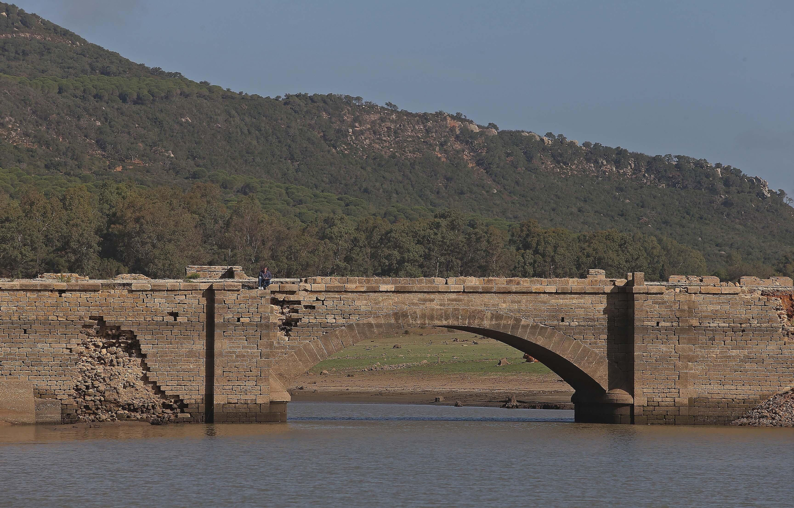 Imágenes del pantano de Charco Redondo en Los Barrios