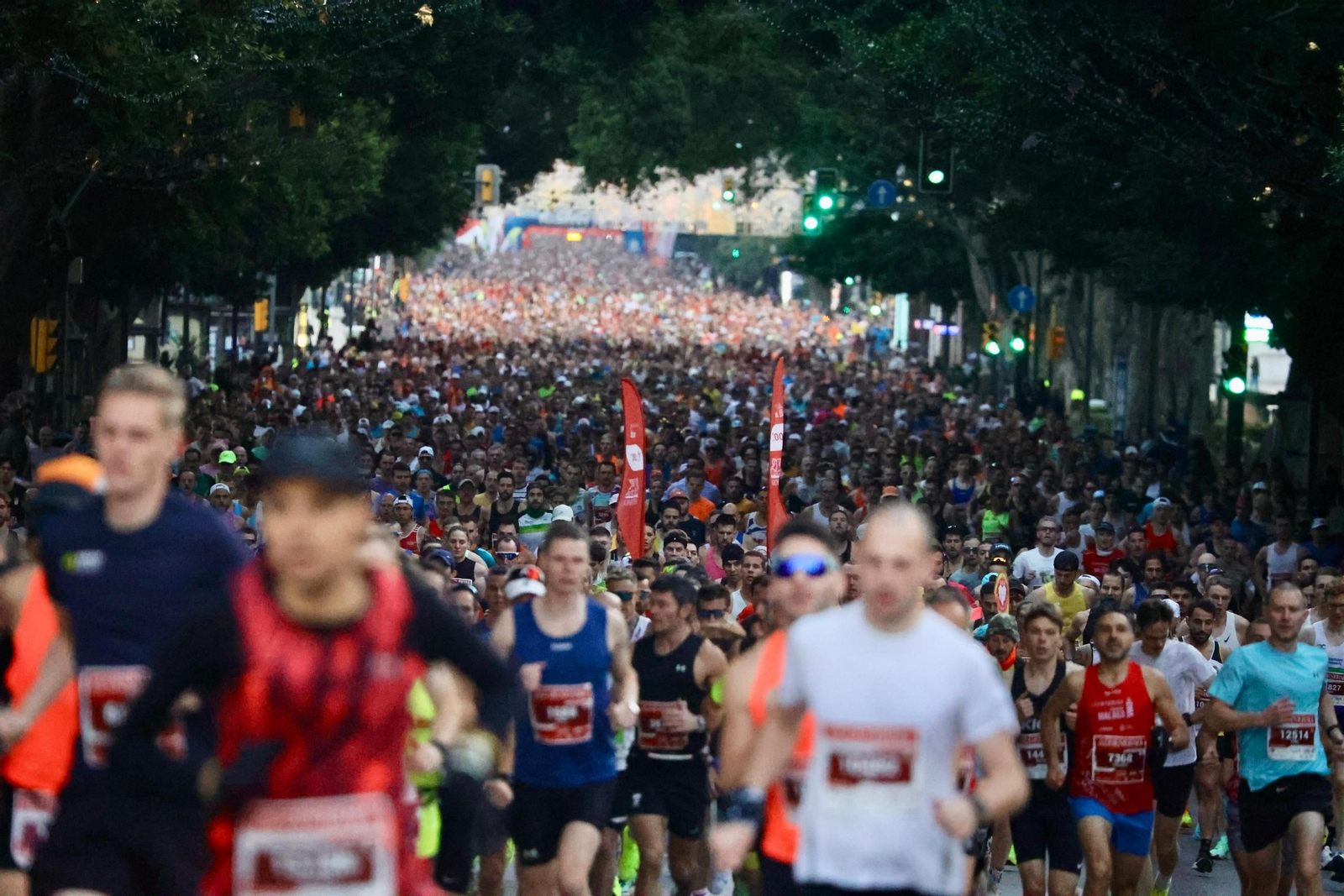 Las mejores fotos de la Maratón de Málaga 2024