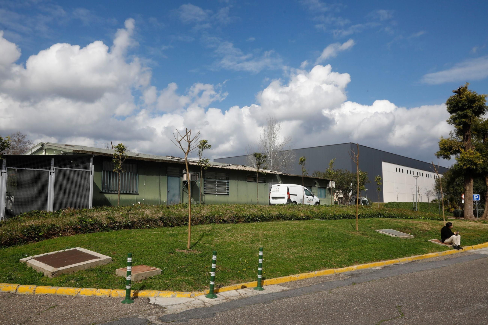 Las zonas verdes repobladas del Hospital Reina Sofía de Córdoba, en imágenes