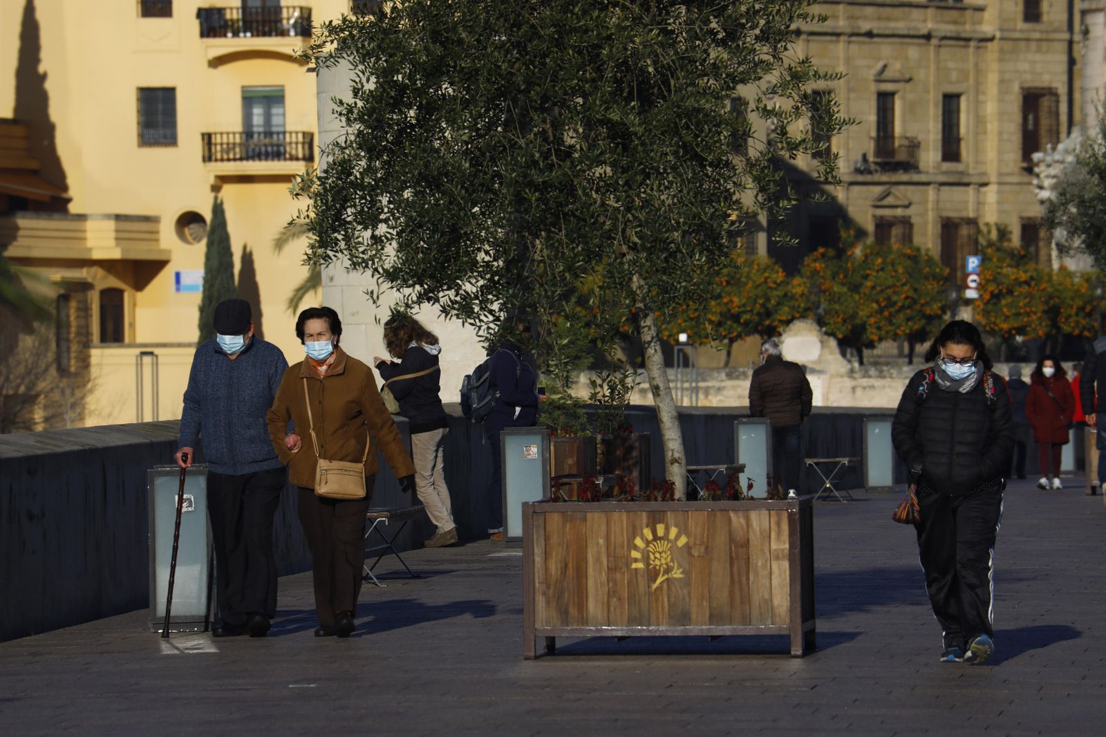La ola de frío en Córdoba, en fotografías