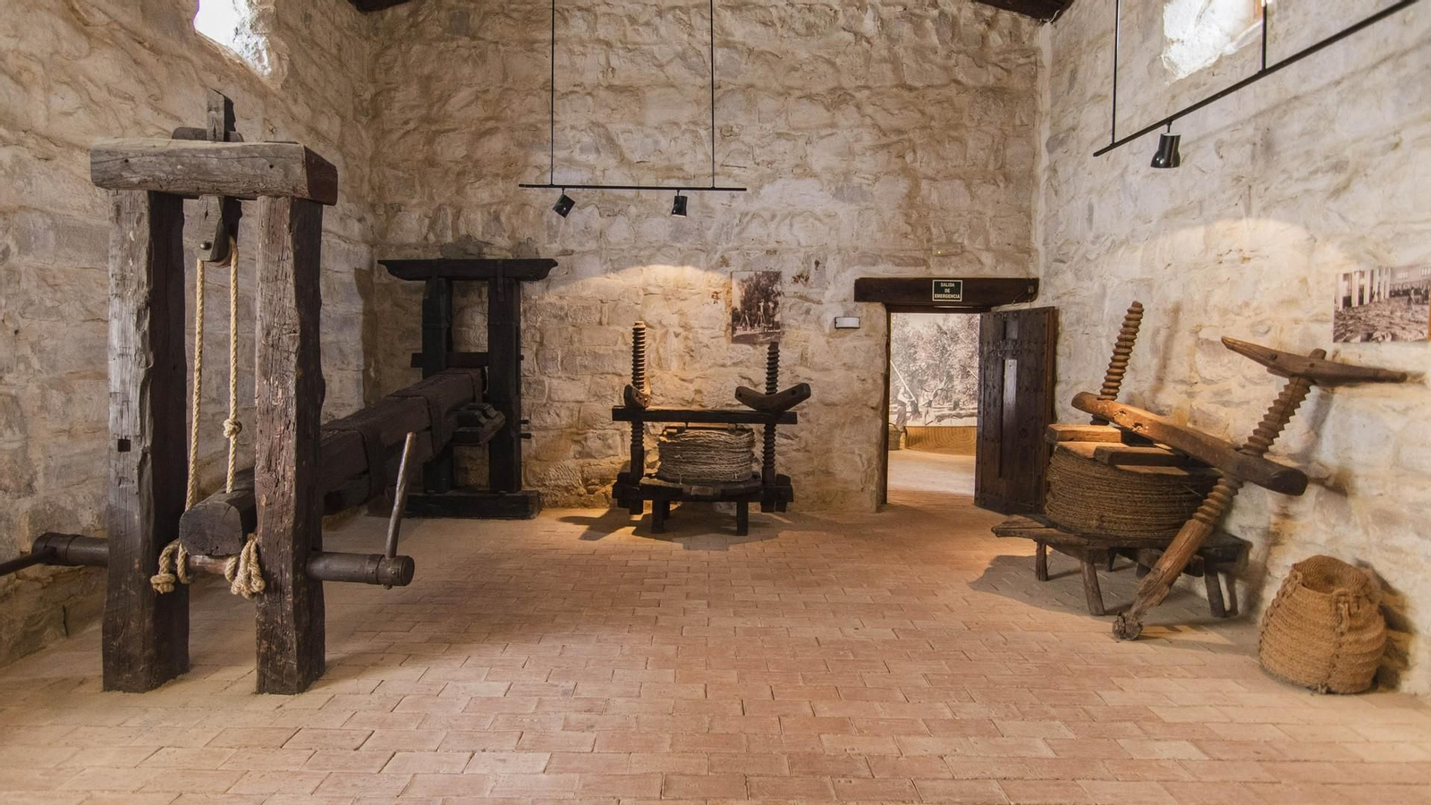 El objetivo es conocer los métodos más tradicionales de cultivo del olivo, hasta los modernos procesos de comercialización y envasado.