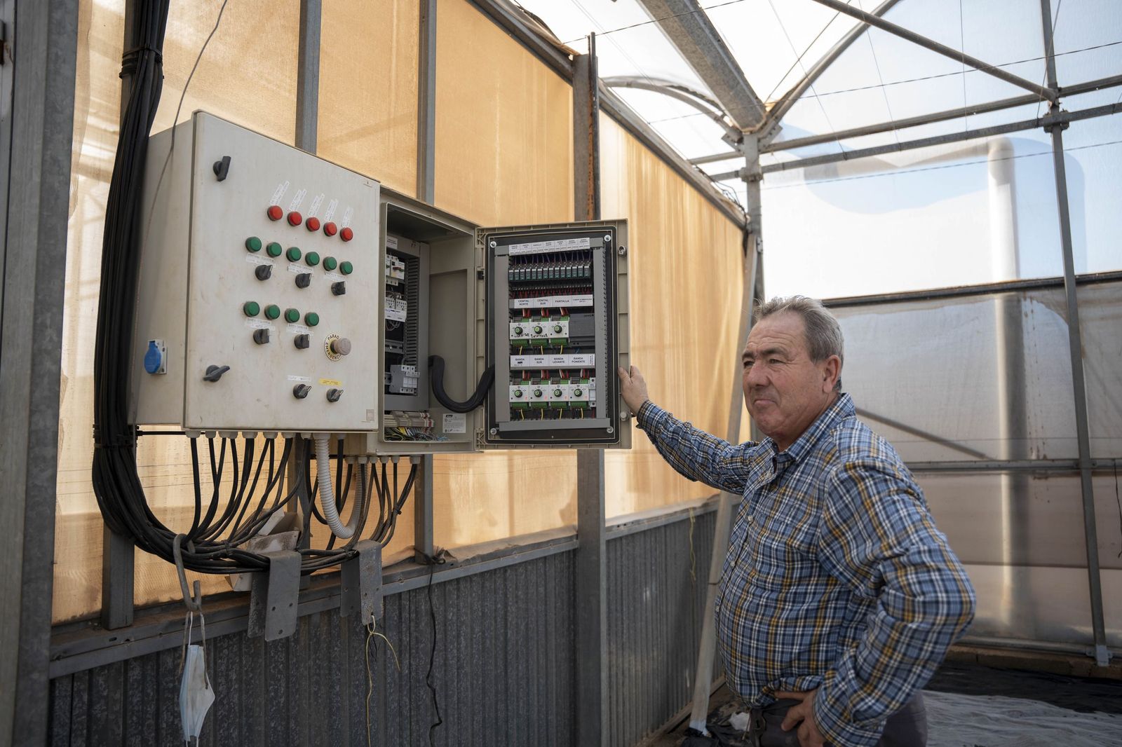 La primavera se planta en invierno entre sandías y tomates almerienses