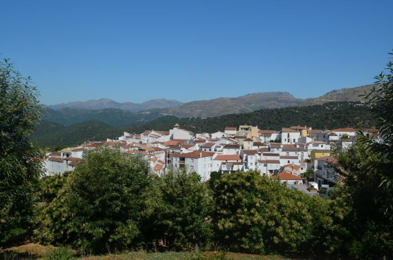 Los pueblos más pequeños de Málaga: 29 municipios que no llegan a los 1.000 habitantes