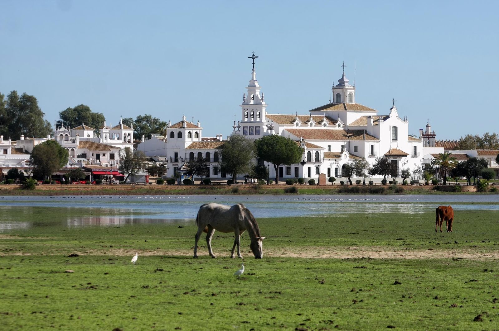 Imágenes de la marisma de El Rocío y de la laguna de El Portil tras las últimas lluvias