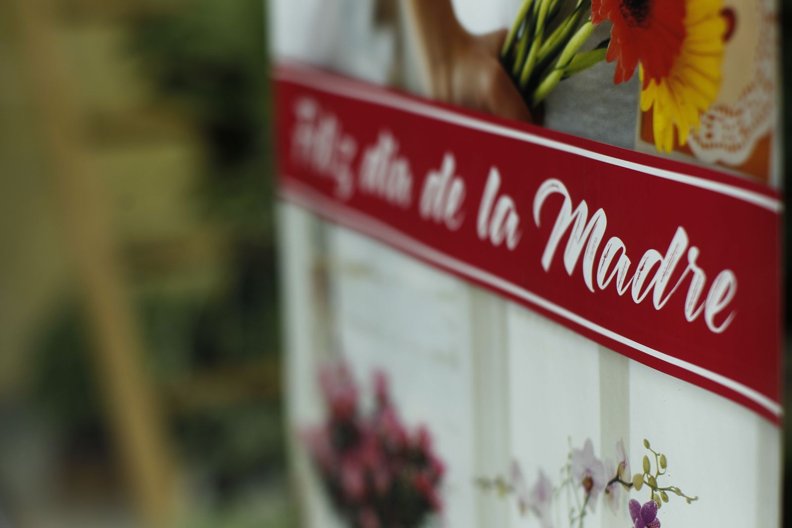 Fotogalería plantas para el Día de la Madre en Suministros Tripiana