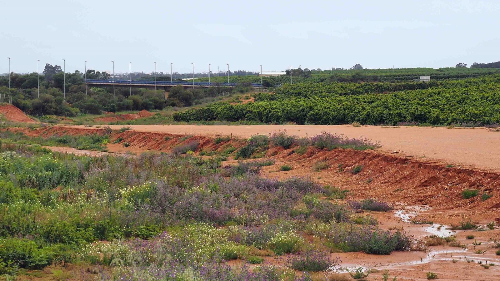 Las obras paralizadas en los accesos al Chare de Lepe.