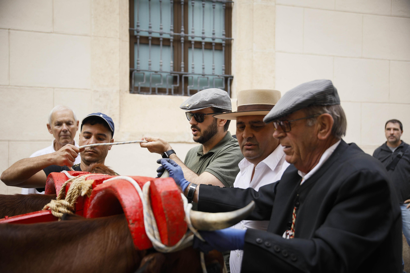 Imágenes de la salida  del Rocío desde la Catedral de Almería