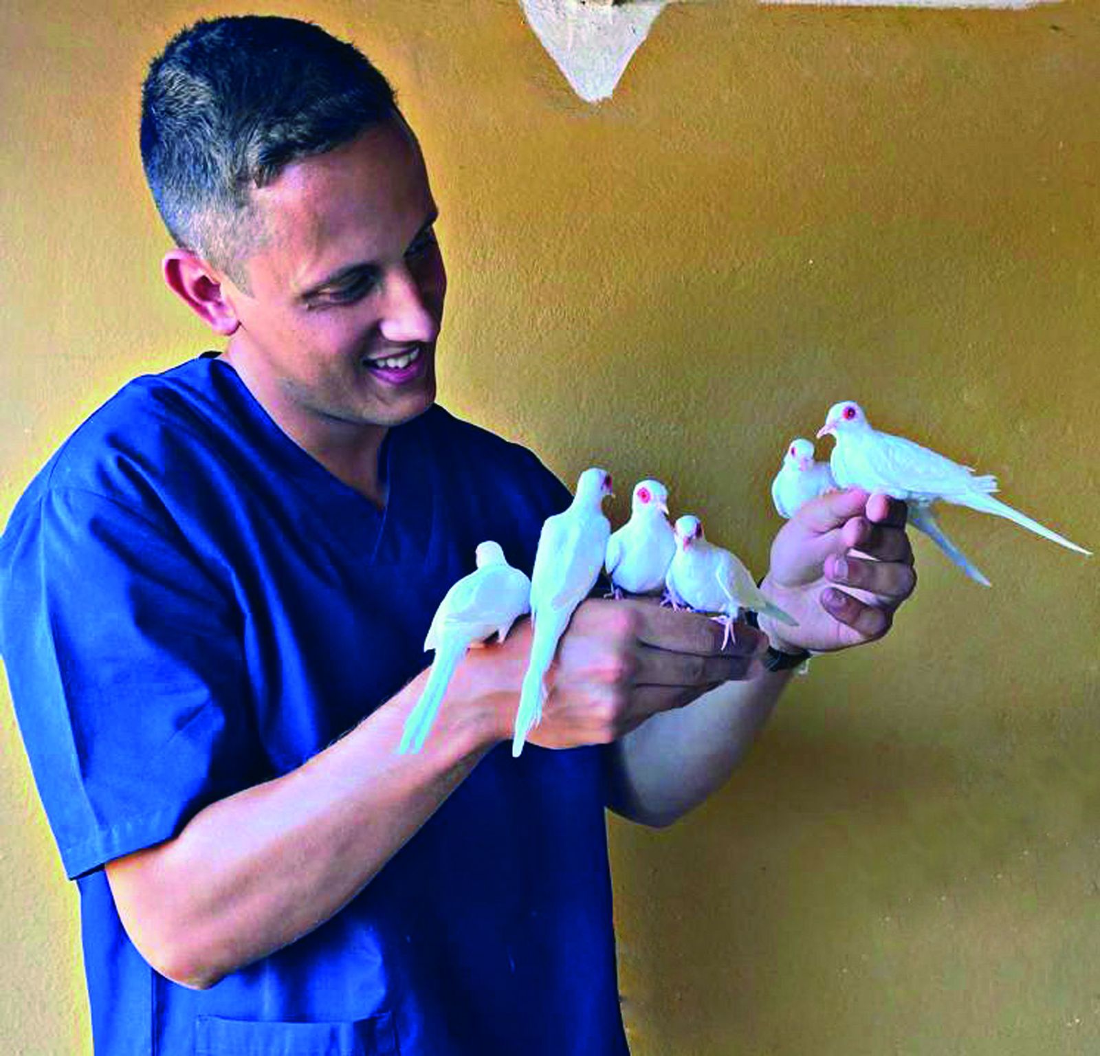 Entrevista a Juan Sánchez Góngora. “Hablar de la profesión veterinaria es hablar del concepto 'ONE HEALTH' o Una Sola Salud”