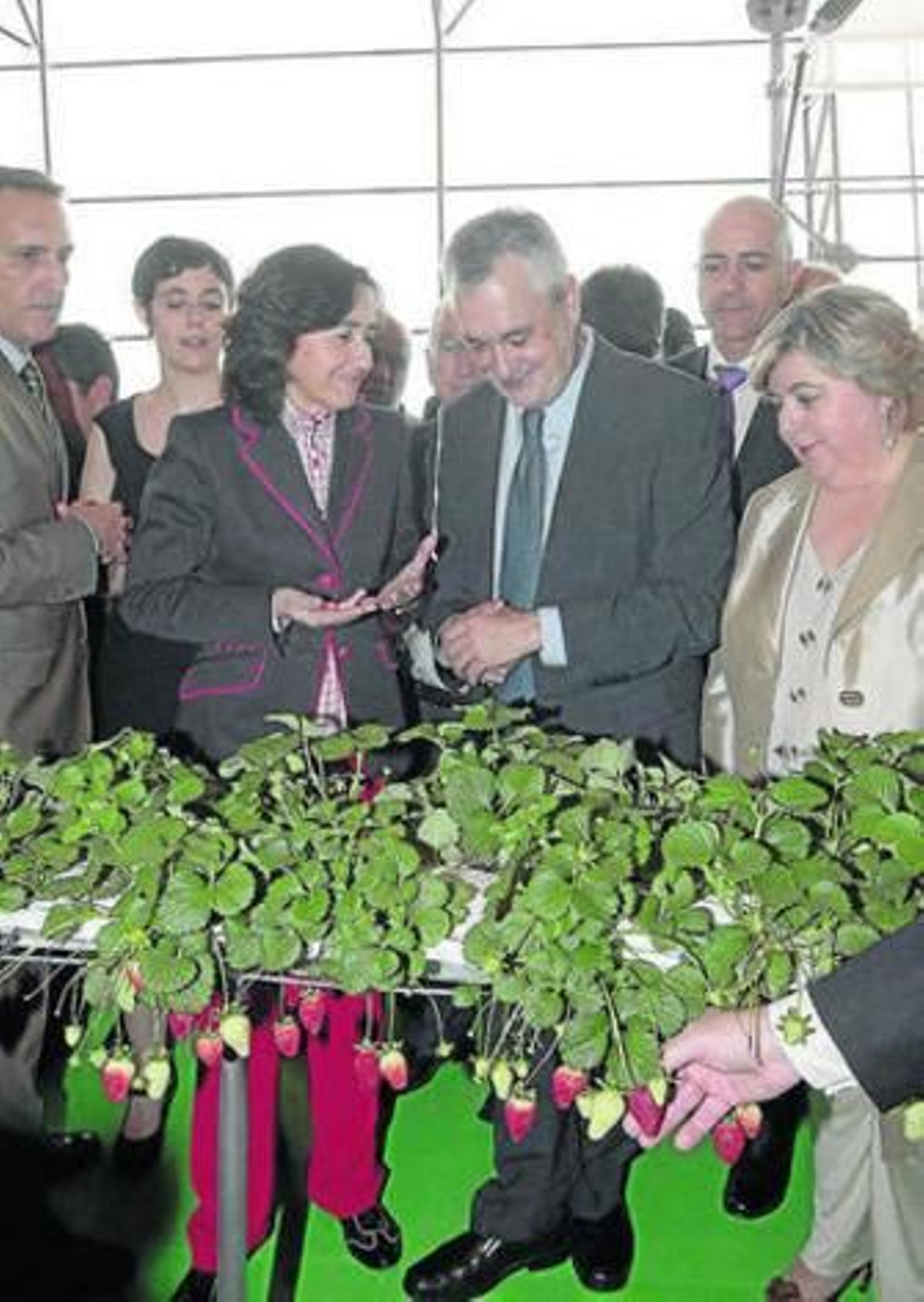 La ministra y el presidente de la Junta observan los cultivos de NGS.