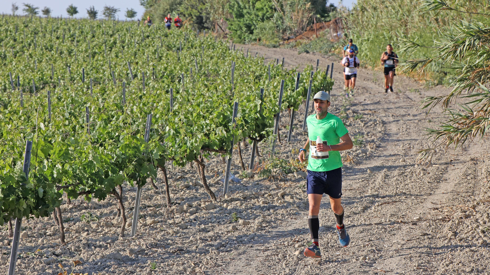 VI Sherry Maratón Jerez