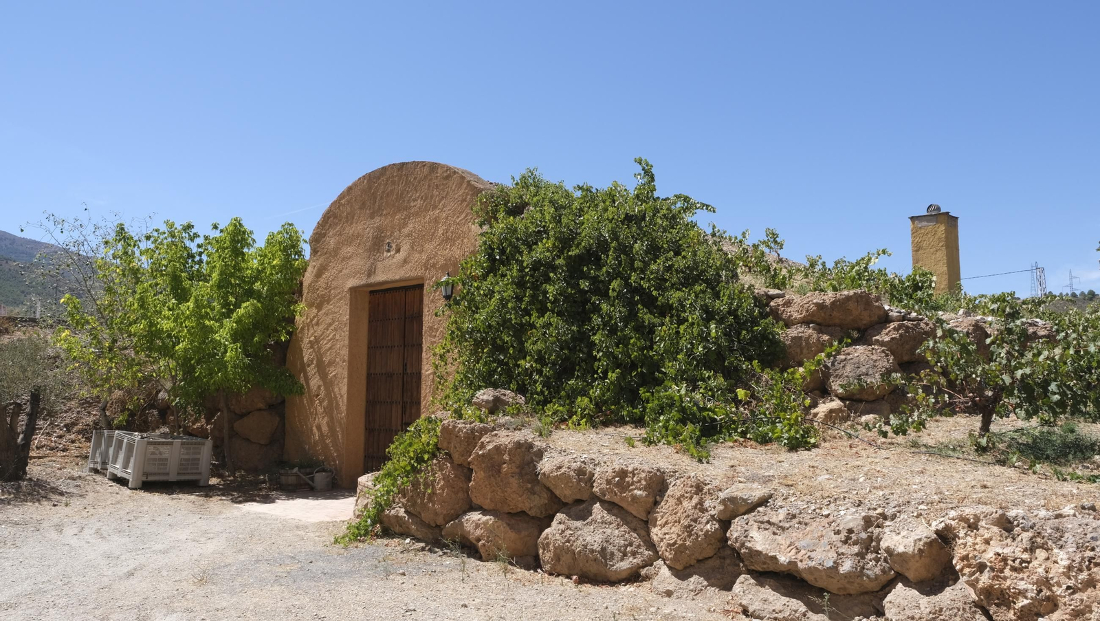 Las imágenes de la vendimia en la zona de Laujar de Andarax