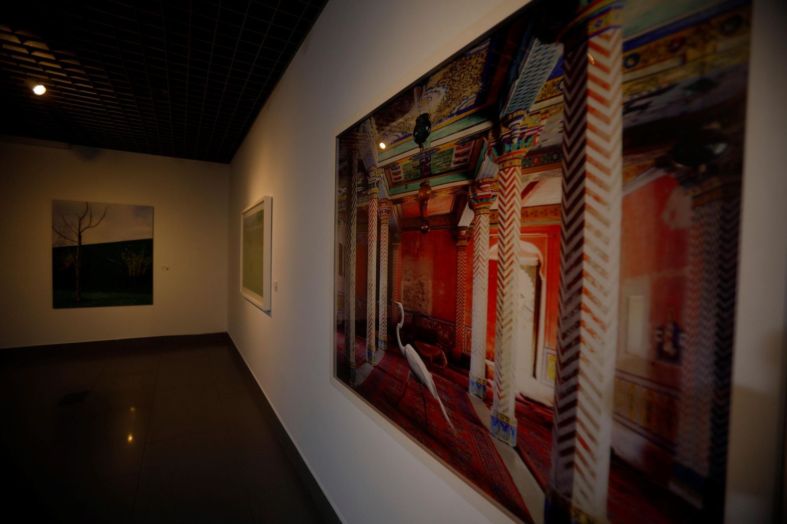 La Fundación Cajasol expone las mejores fotografías contemporáneas Pilar Citoler 2006-2023