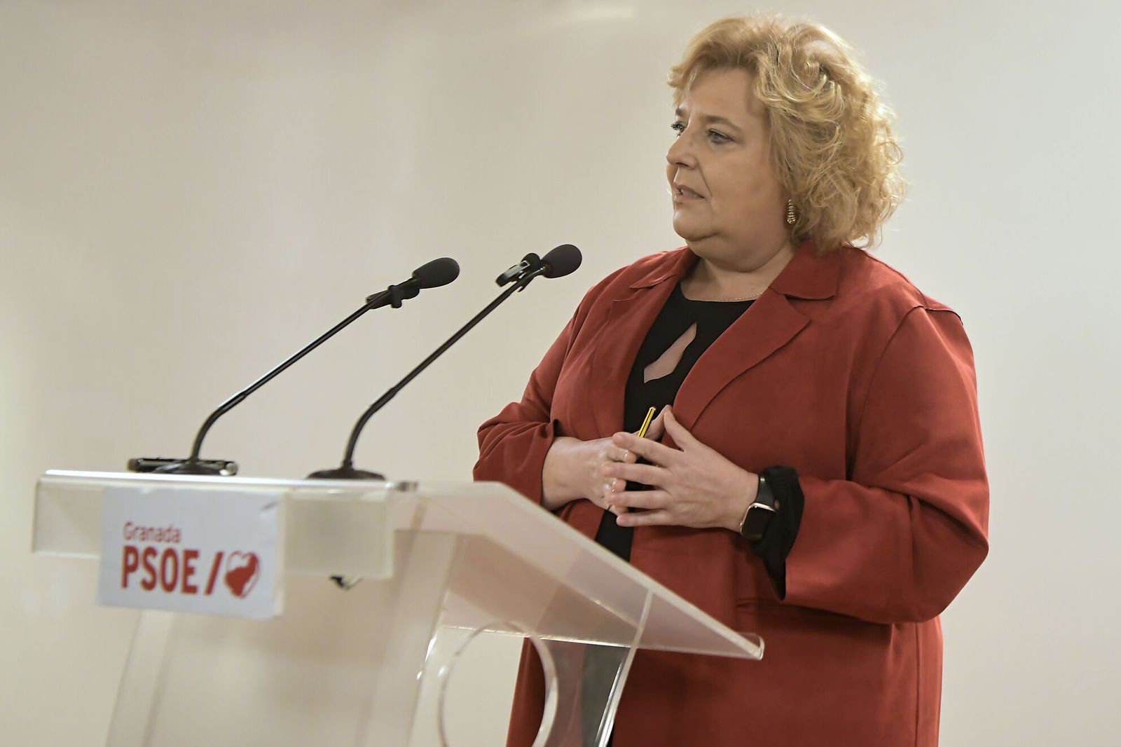 La portavoz del Grupo Socialista en la Diputación de Granada, Fátima  Gómez