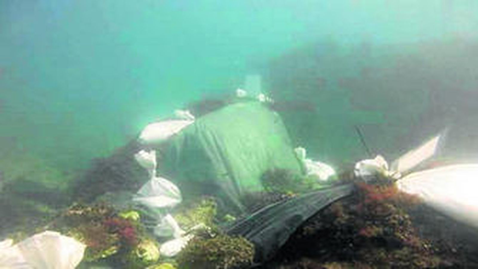Una malla submarina de sombreado colocada para erradicar una colonia de 'caulerpa racemosa'.