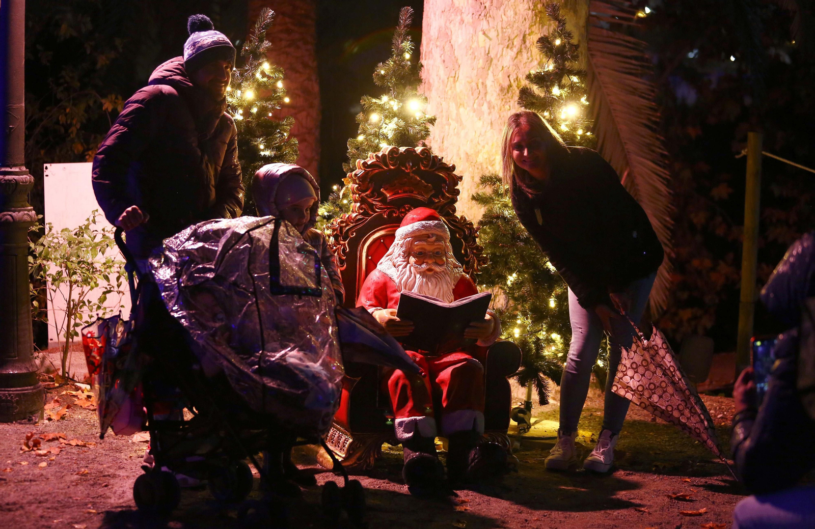 Las luces del Jardín Botánico de Málaga, en fotos