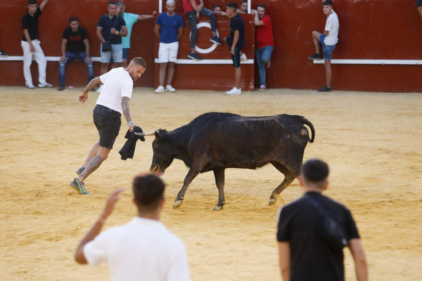Fotos del Toro del Aguardiente en San Roque