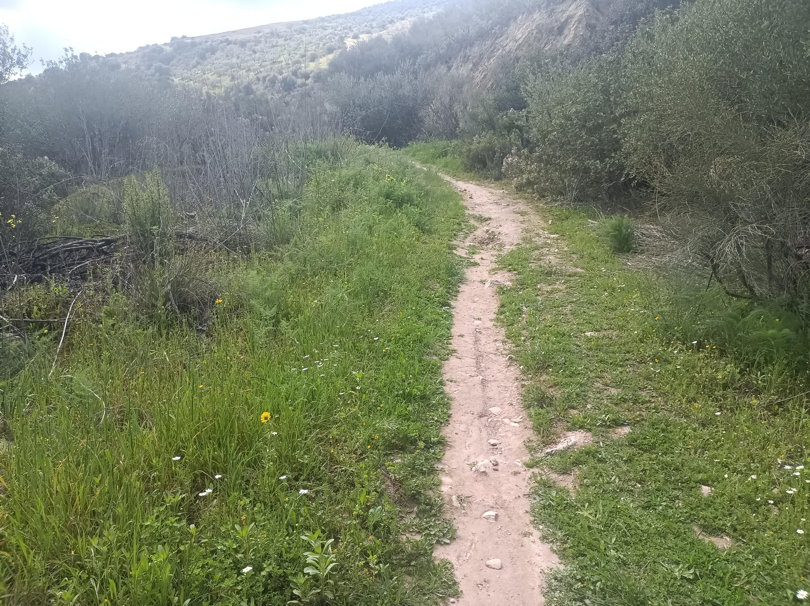 En algún tramo puede que se estreche el sendero.
