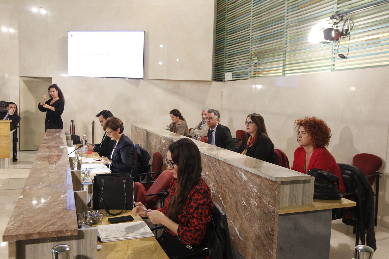 Fotogalería Pleno Extraordinario Ayuntamiento de Almería