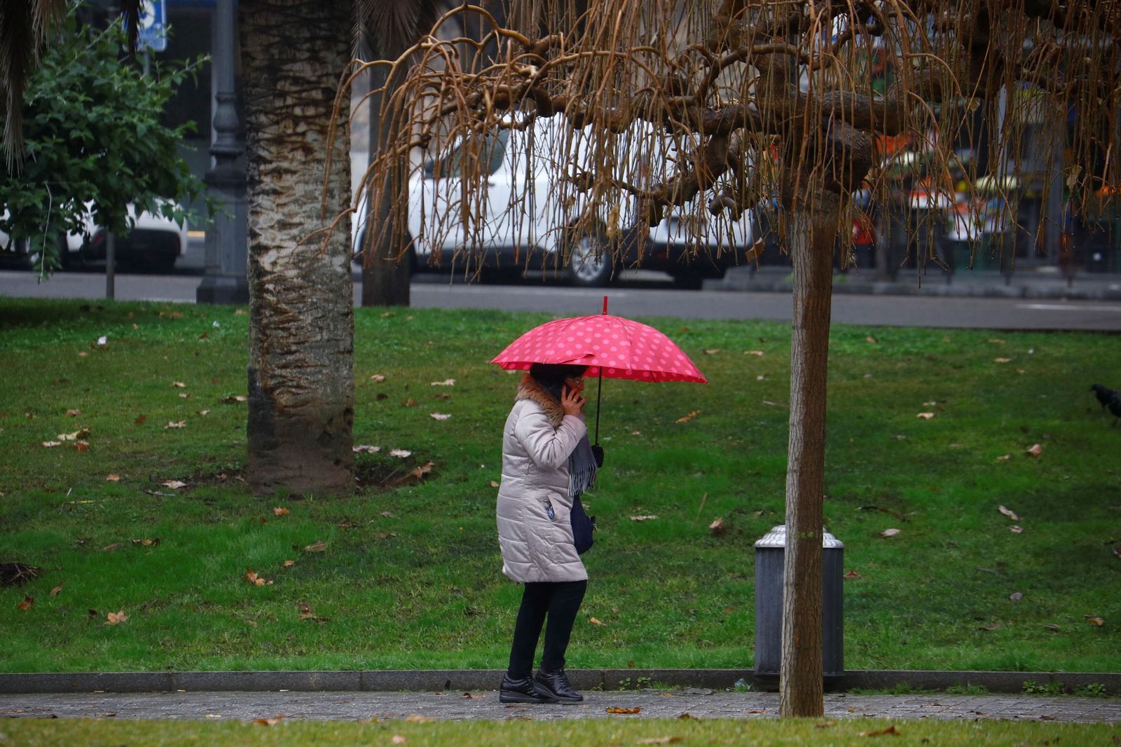 El paso de la borrasca Goretti por Córdoba