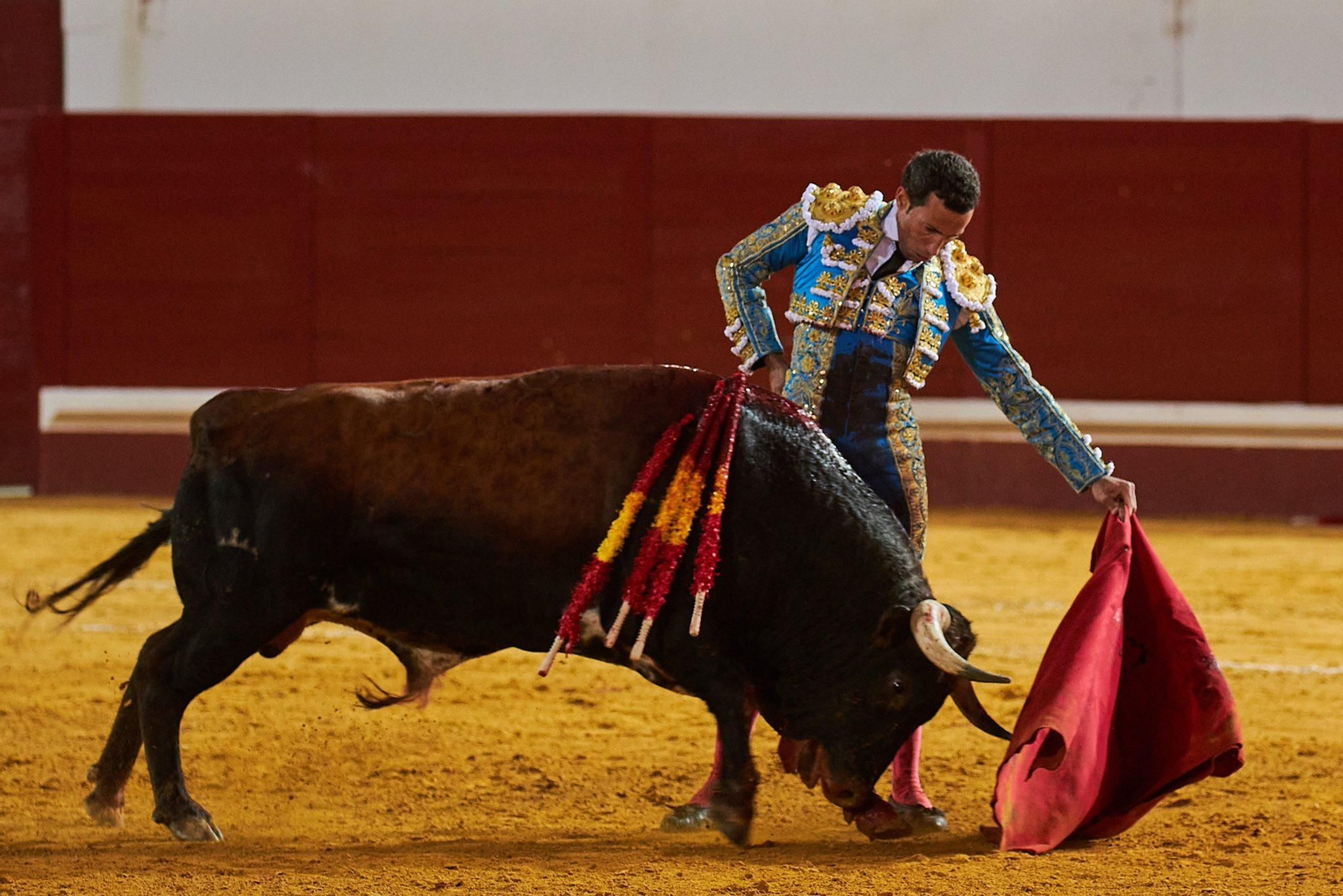 'Malandrín', marcado con el hierro de Lagunajanda, embistió así en la muleta de David de Miranda.