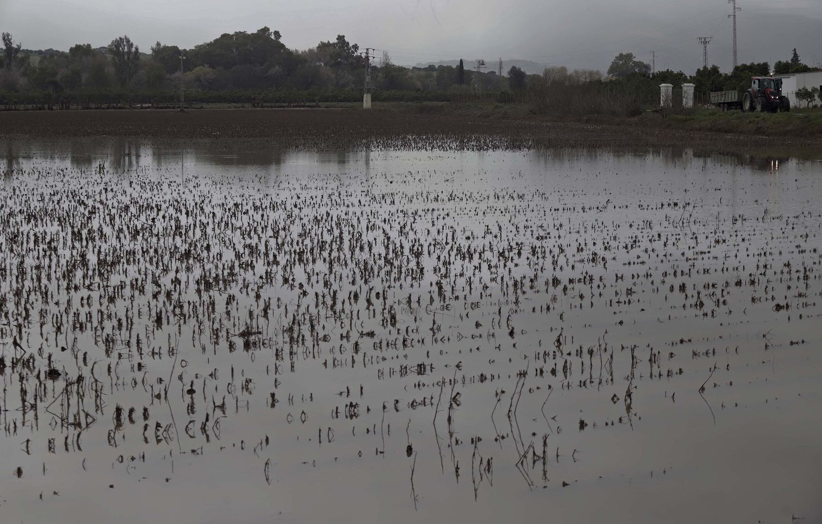 Fotos de los desperfectos provocados por las borrascas en Jimena de la Frontera