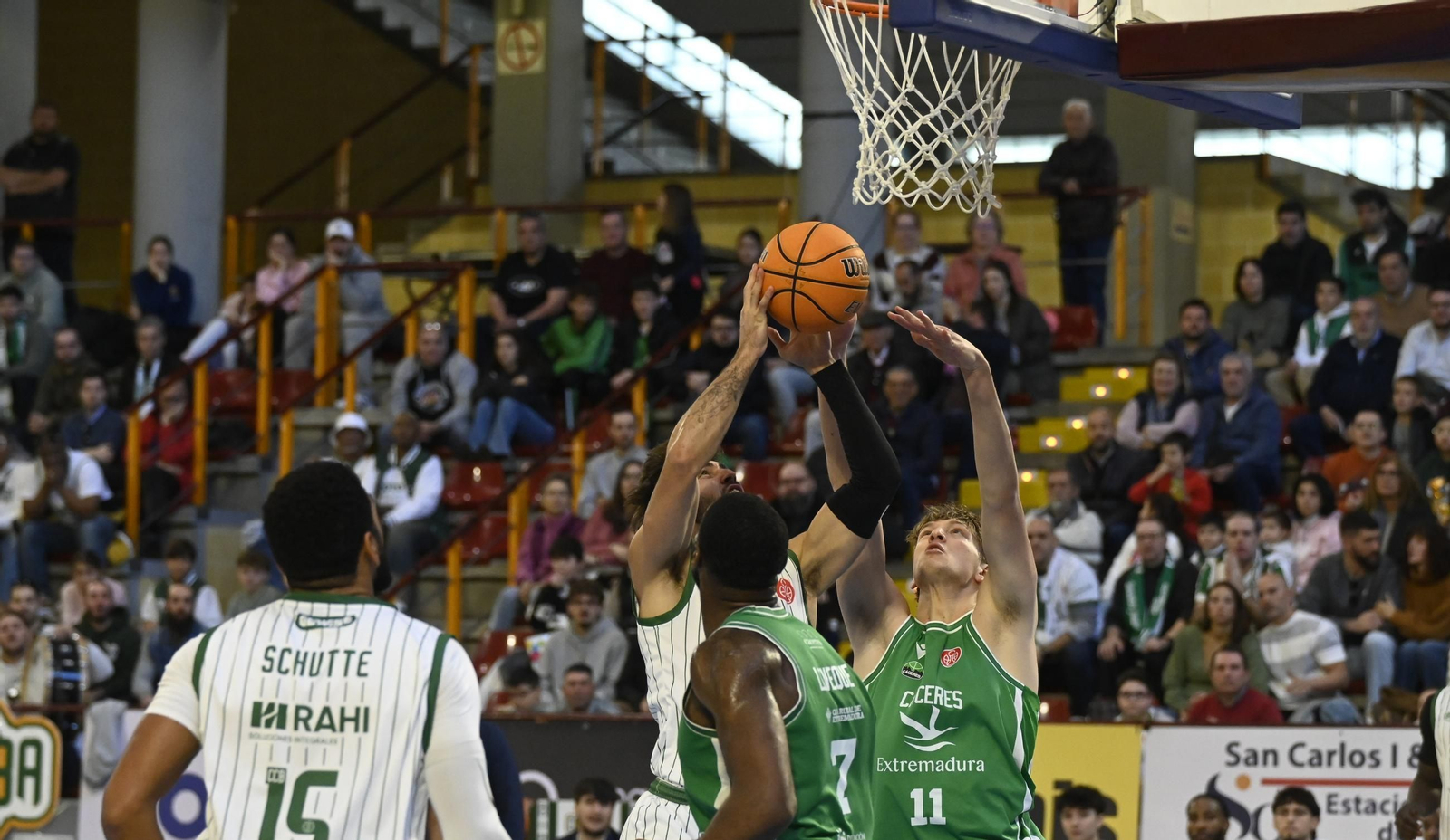 Las mejores fotos del ambiente en el Coto Córdoba - Cáceres Patrimonio de la Humanidad