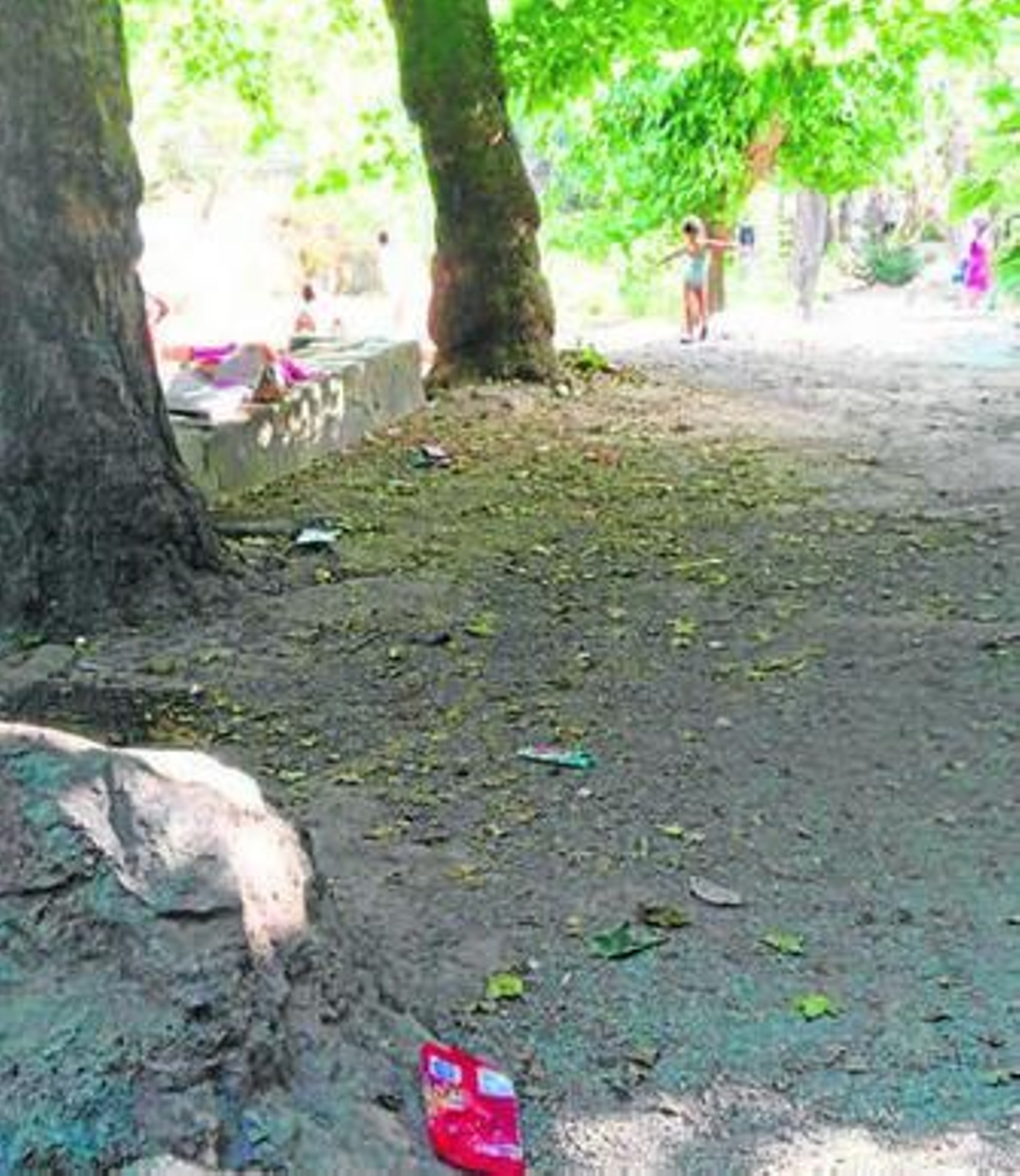El Arroyo de Celín, de rincón natural emblemático a vertedero