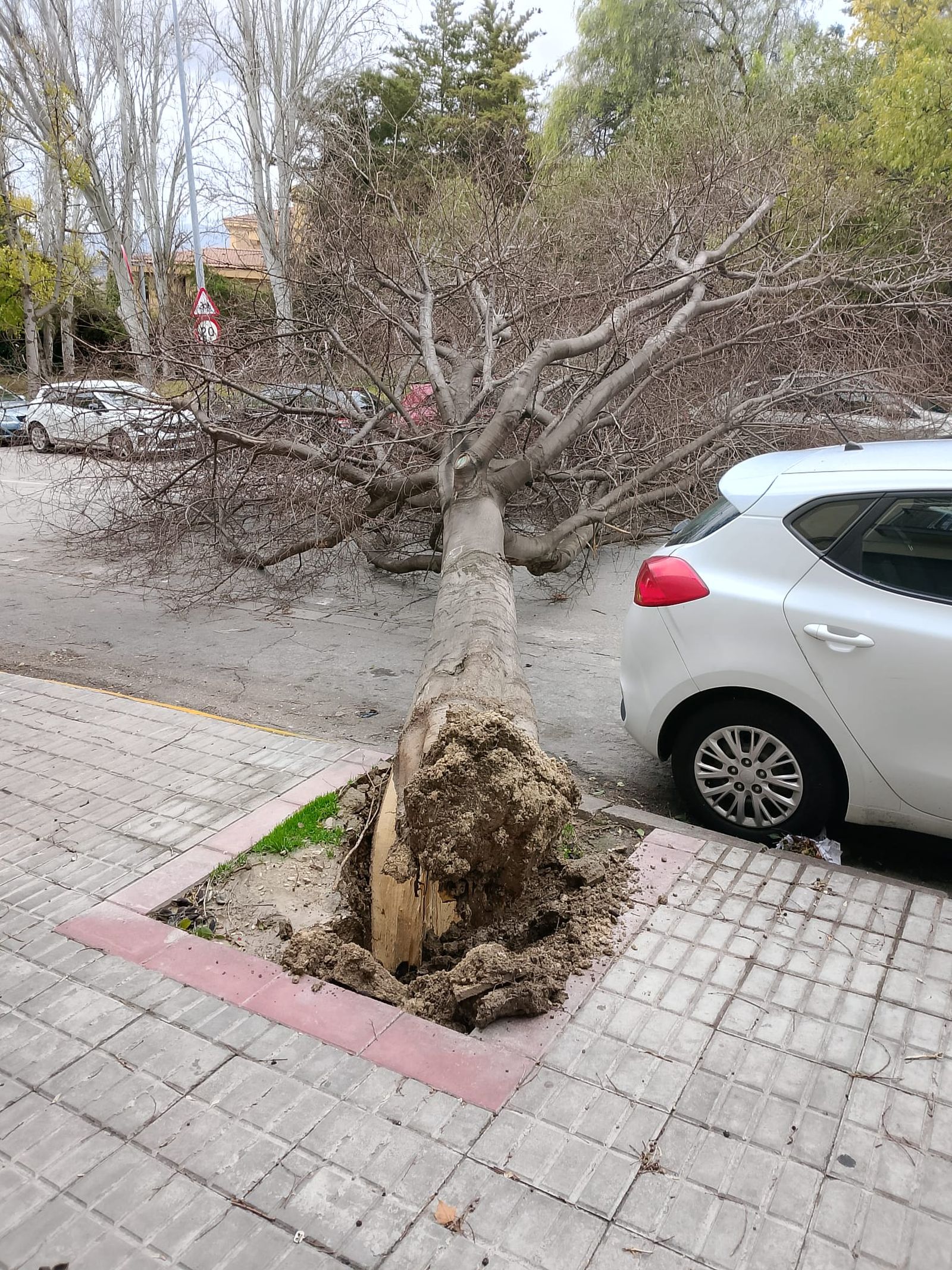 Los escuderos, Jaén