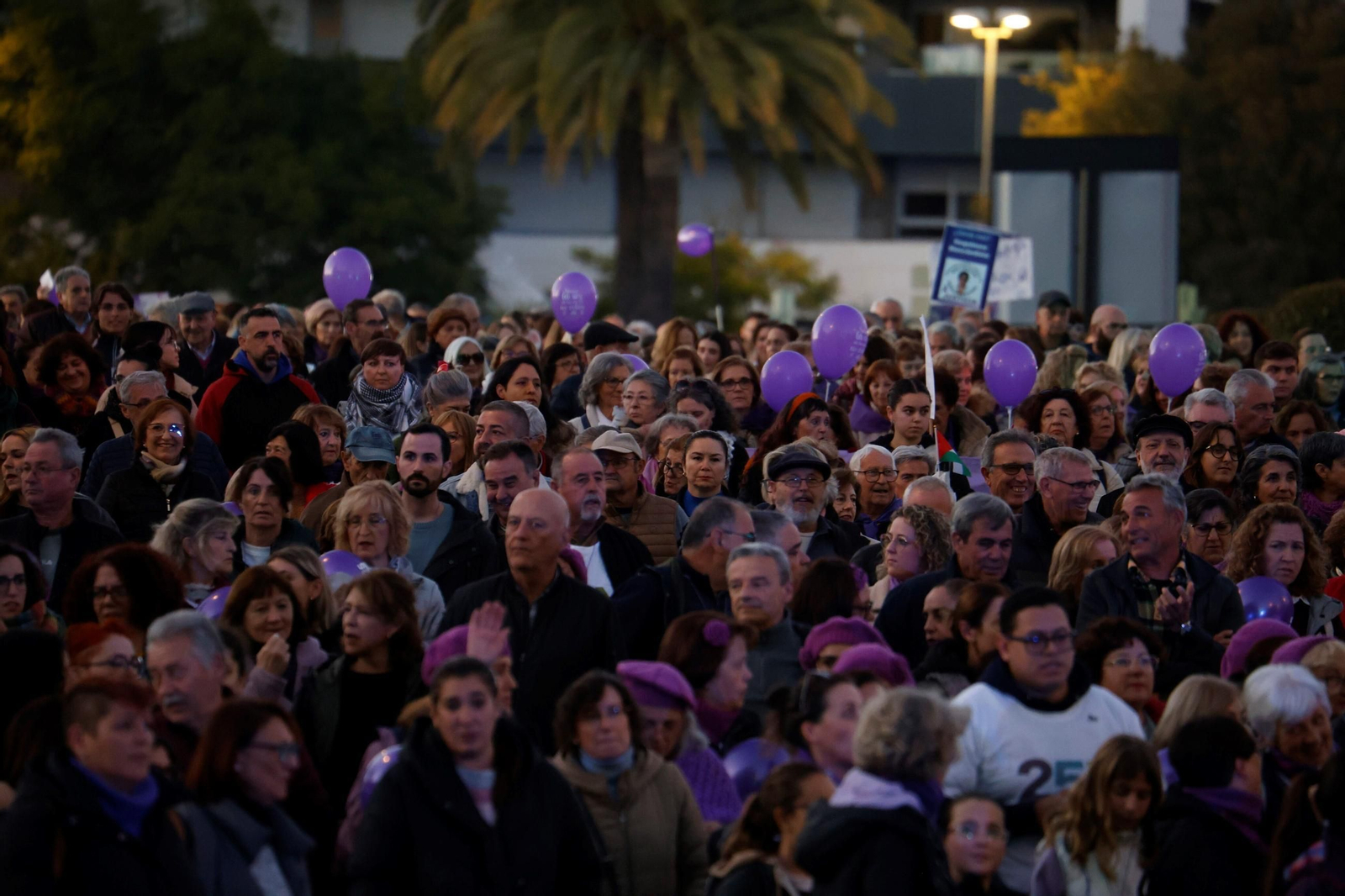 La manifestación del 25N en Córdoba