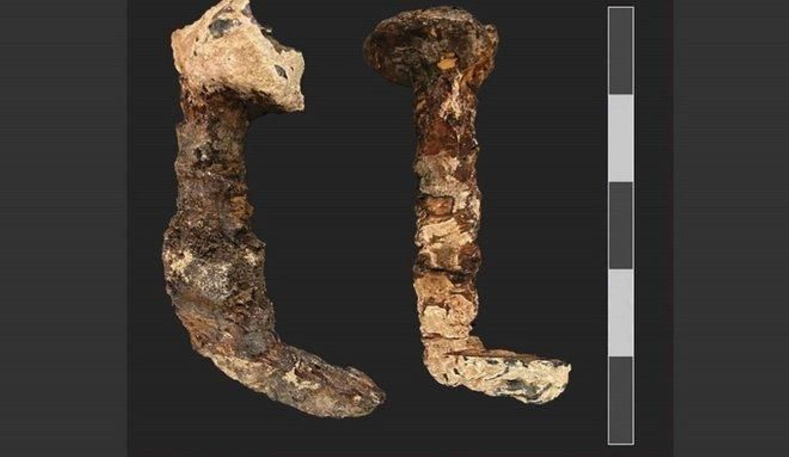 ¿Son estos los clavos de cristo?