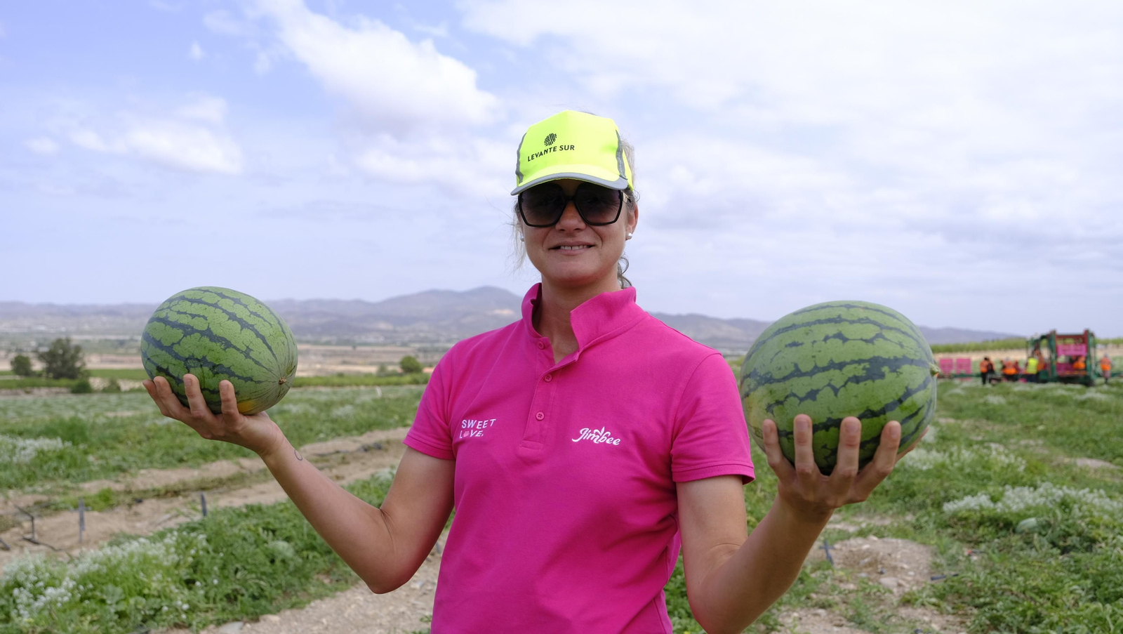 La sandía y el melón de Huércal Overa, manjares en imágenes