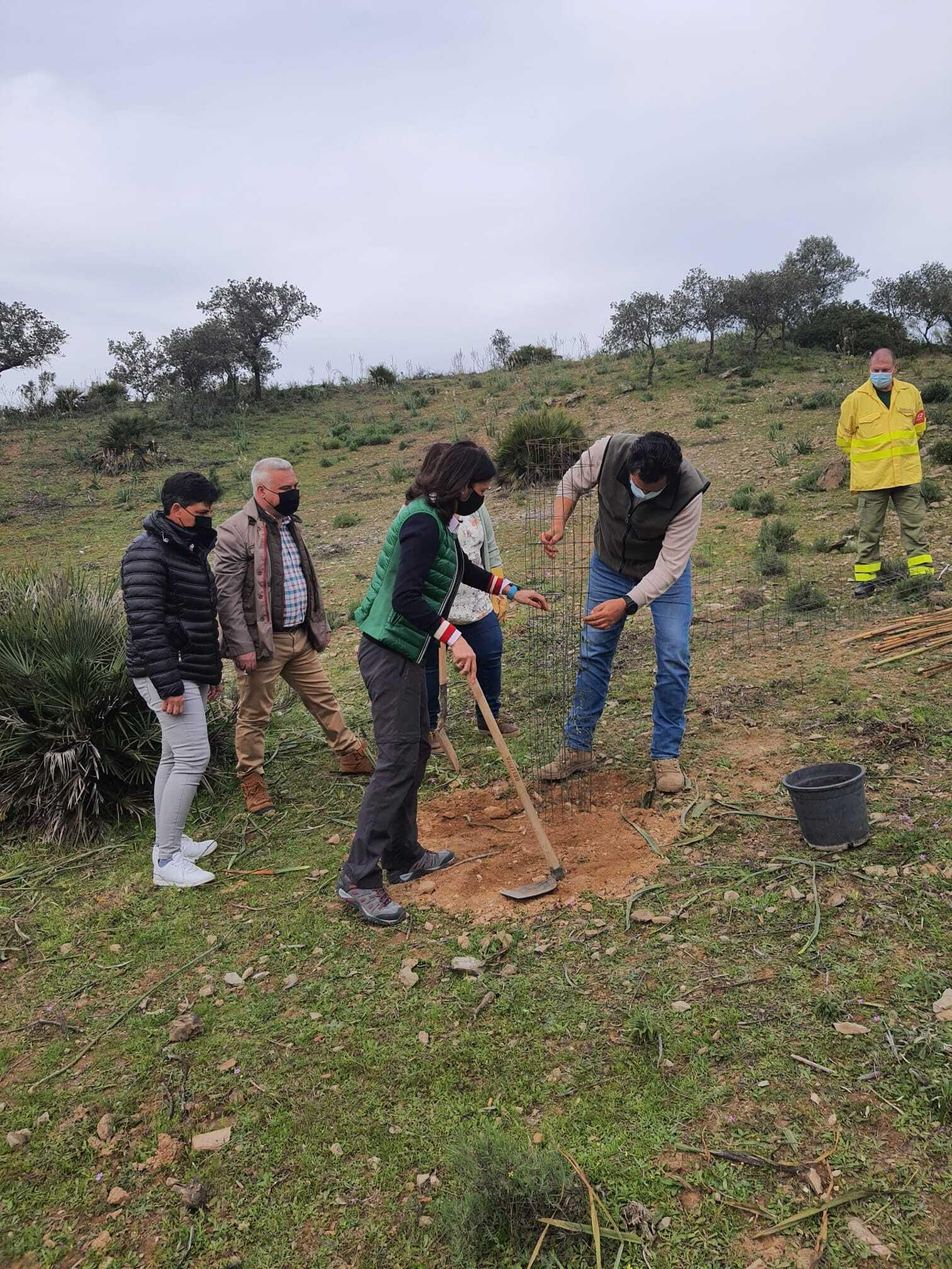 La plantación de árboles, arbustos y matorral autóctonos que también arrancó en el Monte Público Los Jarajelos, de Villnueva del Río y Minas, el pasado sábado.