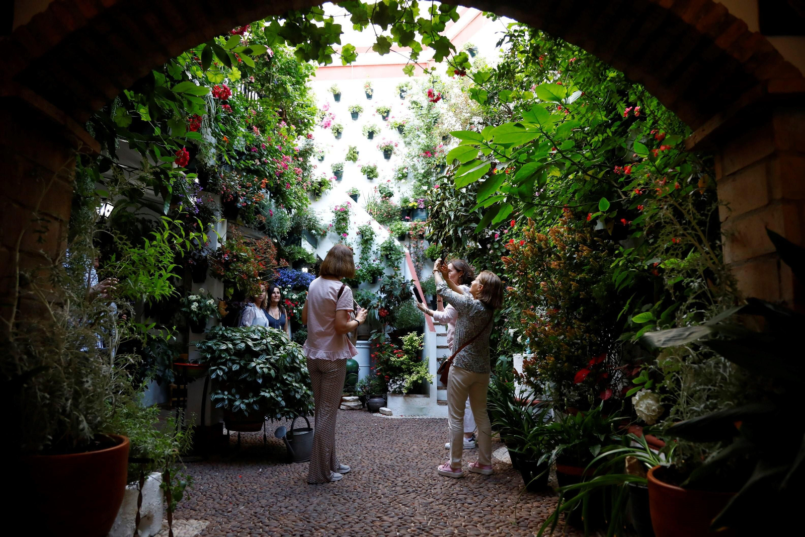 Los ganadores del Concurso de Patios de Córdoba 2023, en imágenes